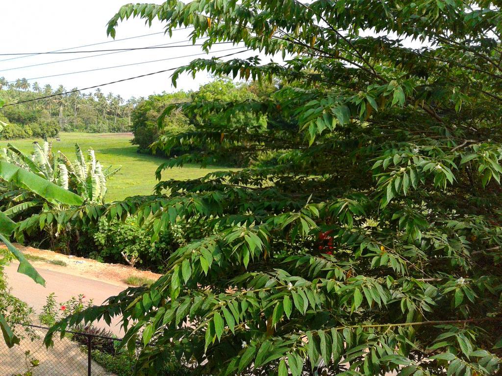 Green View Guest Мириса Екстериор снимка